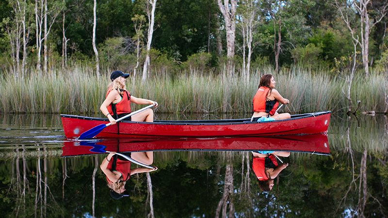 Explore the Noosa Everglades with by canoe and boat on the popular Cruise N' Canoe day tour ex Noosa.